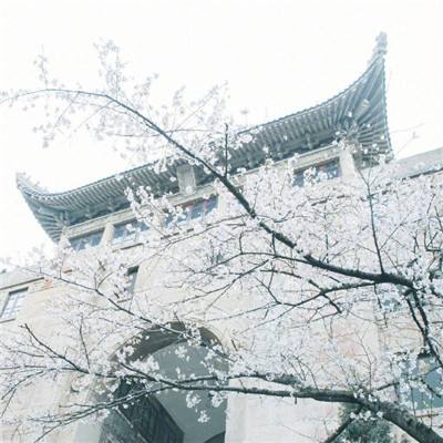 京津冀将新增超百项“区域通办”政务服务事项